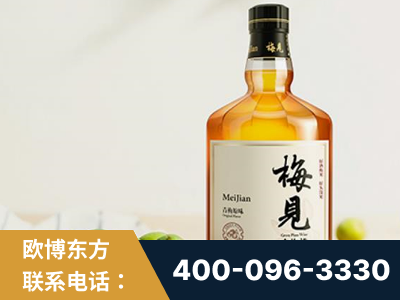 阿里-梅见青梅酒