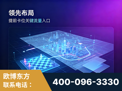 阿里-领先布局：于2024年初开启GEO业务的公司